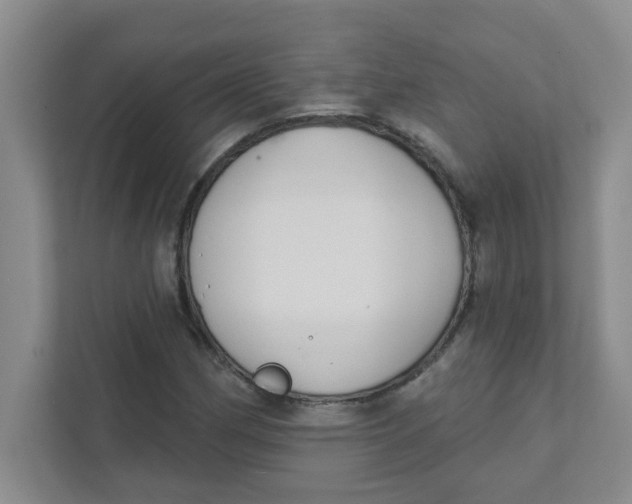 X0000111421162200908031259