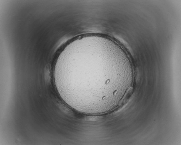 X0000111421163200908031259