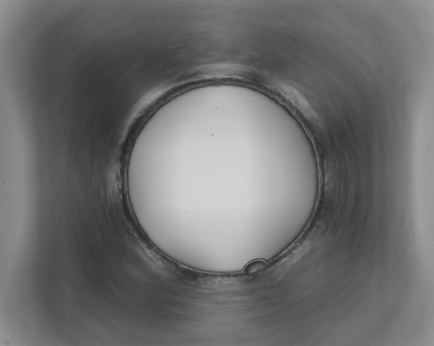 X0000111421164200908031259