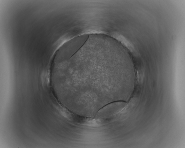 X0000111421165200908031259