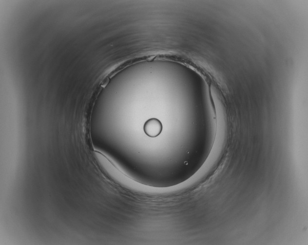 X0000111421169200908031259