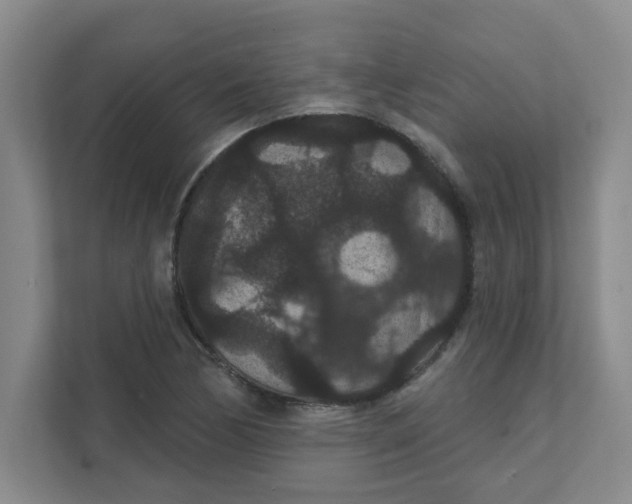 X0000111421170200908031259