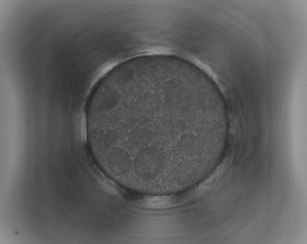 X0000111421171200908031259