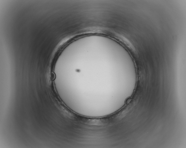 X0000111421172200908031259