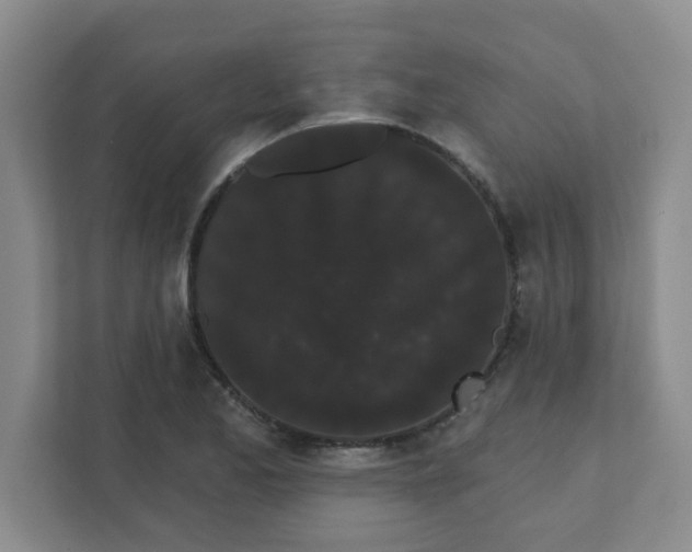 X0000111421173200908031259