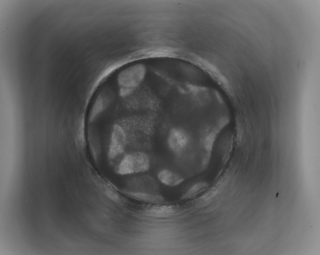 X0000111421174200908031259