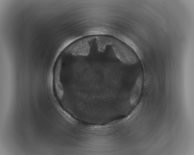 X0000111421179200908031259