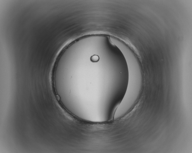 X0000111421181200908031259