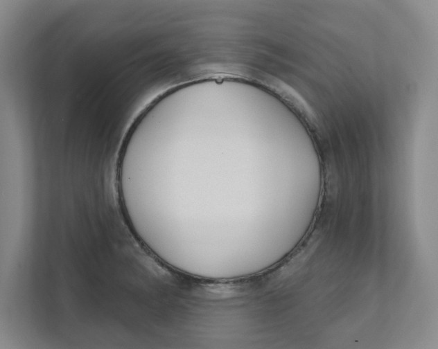 X0000111421182200908031259