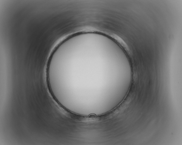 X0000111421183200908031259