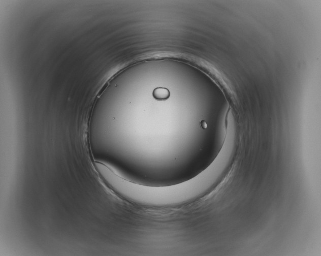 X0000111421185200908031259