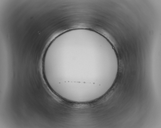 X0000111421187200908031259