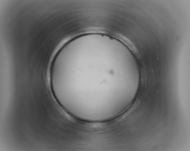 X0000111421188200908031259