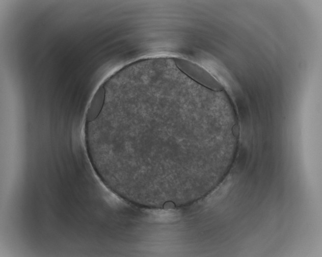 X0000111421189200908031259