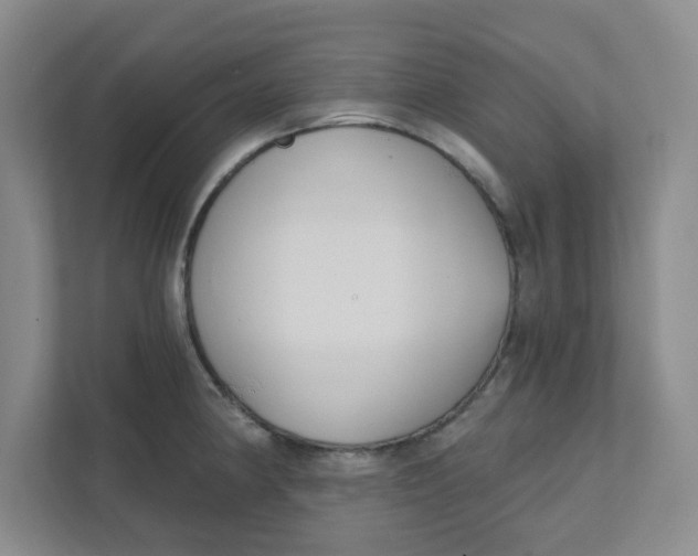 X0000111421190200908031259