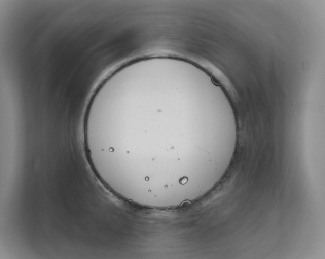 X0000111421191200908031259