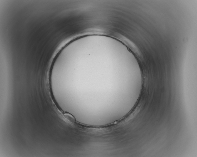 X0000111421192200908031259