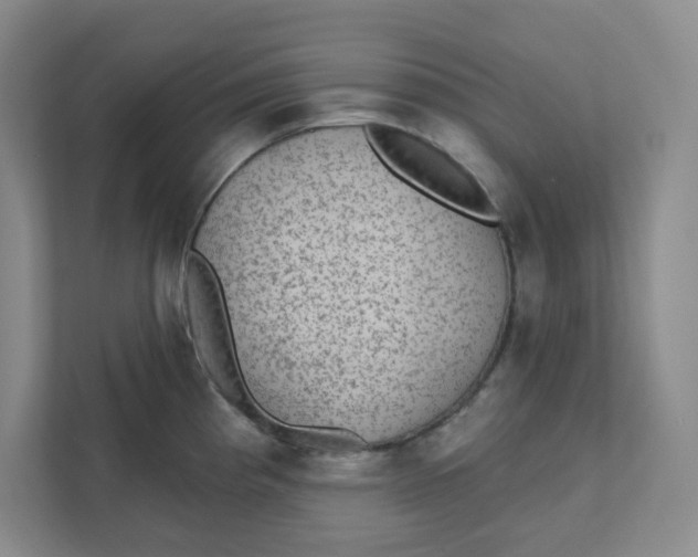 X0000111421193200908031259