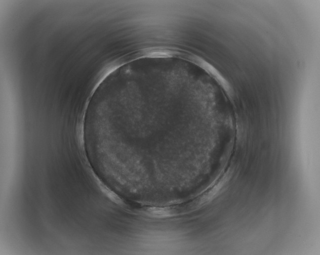 X0000111421194200908031258