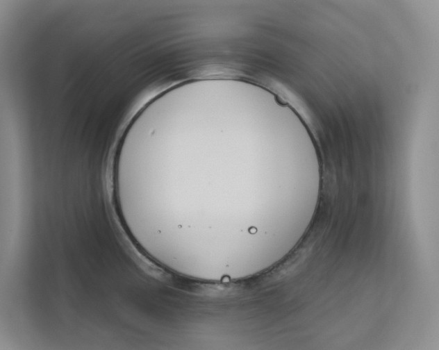 X0000111421195200908031258