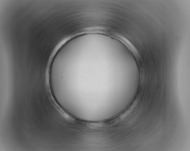 X0000111421196200908031258