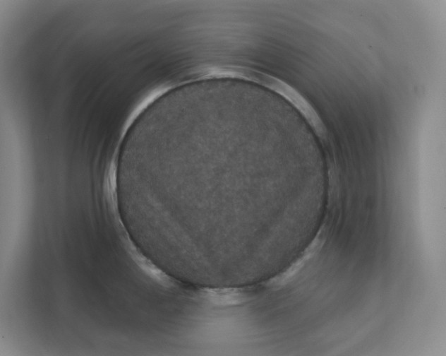 X0000111421198200908031258