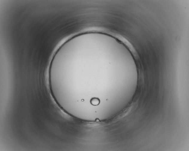 X0000111421199200908031258