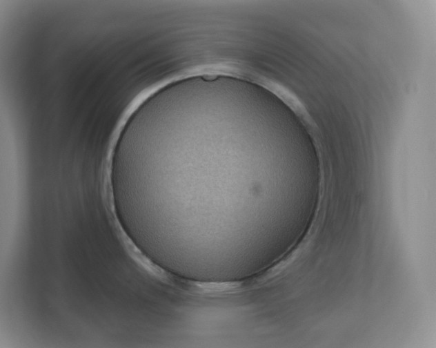 X0000111421200200908031258