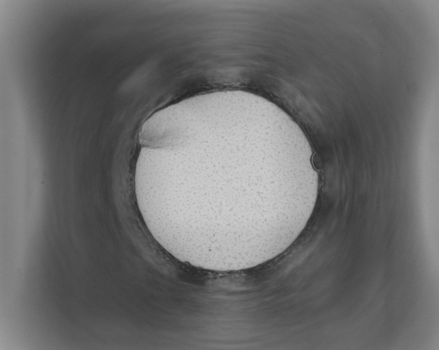 X0000111421201200908031258