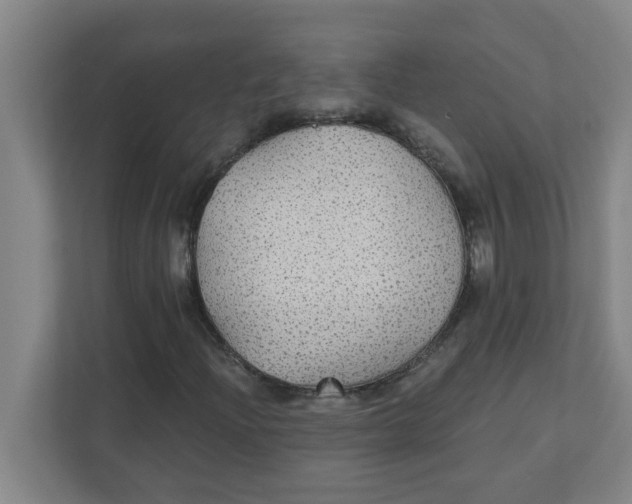 X0000111421204200908031258