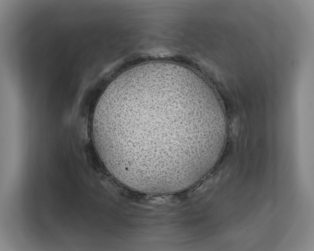 X0000111421205200908031258