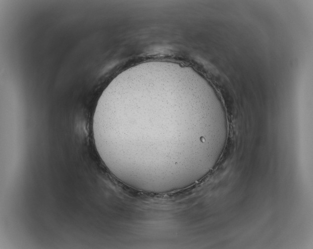 X0000111421206200908031258