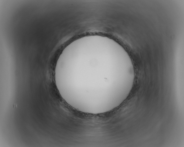 X0000111421207200908031258