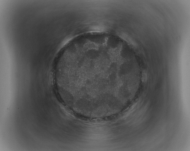 X0000111421208200908031258