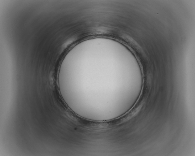 X0000111421210200908031258