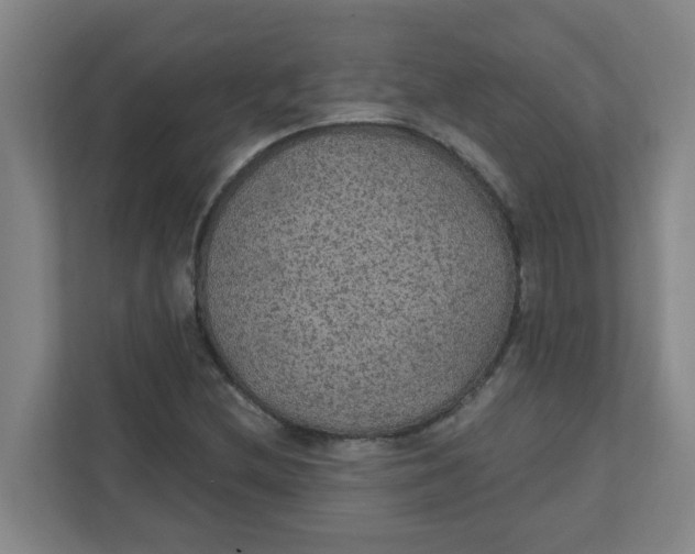 X0000111421212200908031258