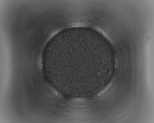 X0000111421213200908031258