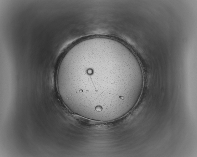 X0000111421214200908031258