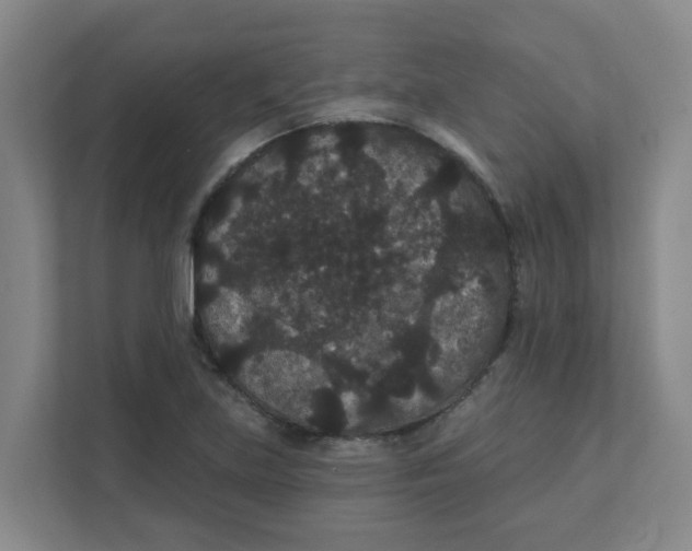 X0000111421219200908031258