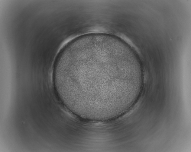 X0000111421222200908031258