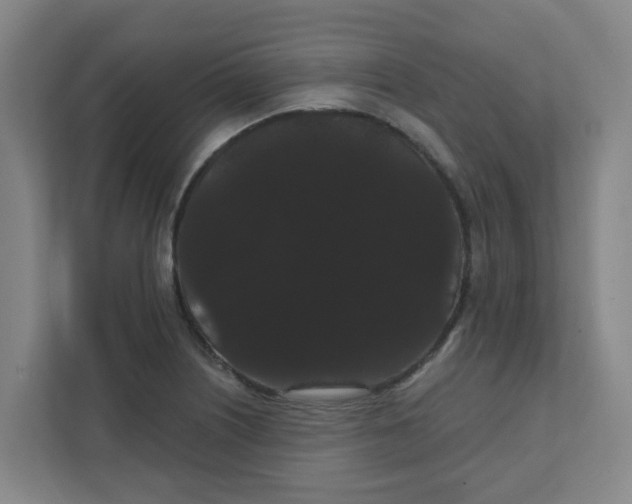 X0000111421226200908031258