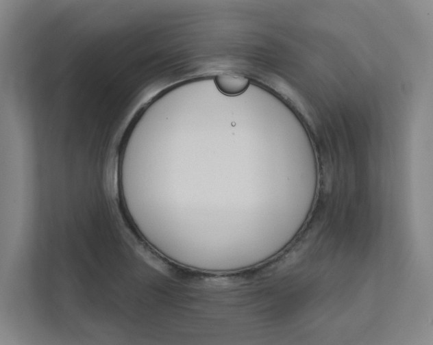 X0000111421227200908031258