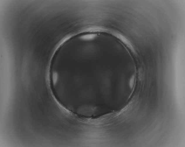 X0000111421229200908031258