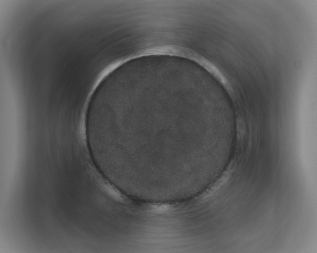 X0000111421230200908031258