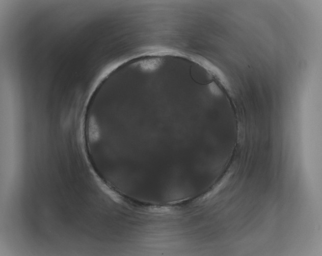 X0000111421231200908031258