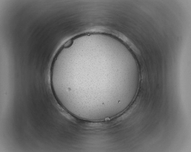 X0000111421232200908031258