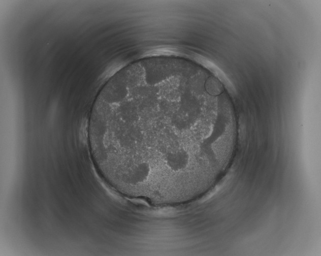 X0000111421233200908031258