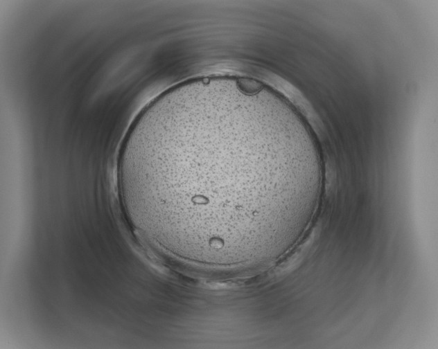 X0000111421234200908031258