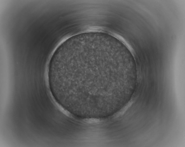 X0000111421235200908031258