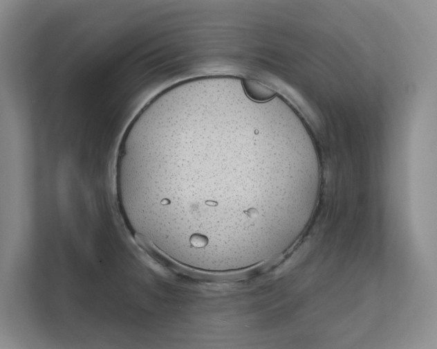 X0000111421236200908031258